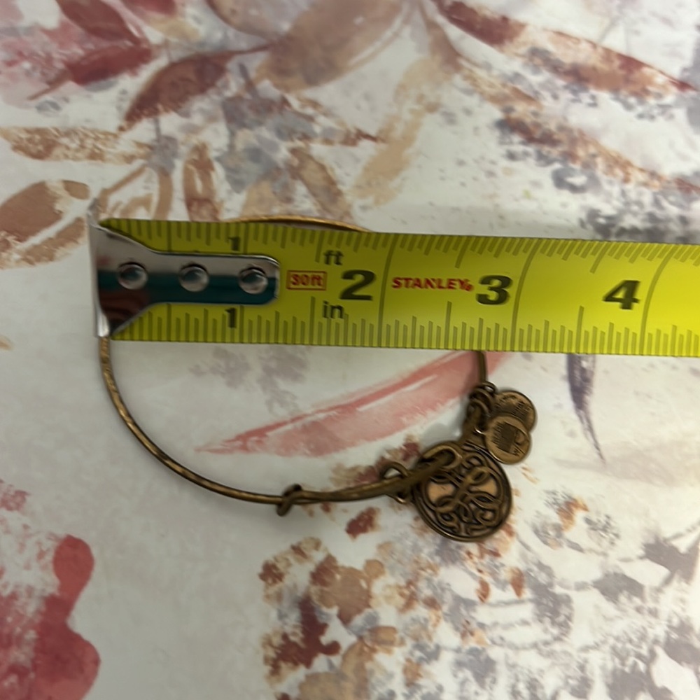 Alex + Ani Path of Life Infinity Charm Bracelet, Gold, 2015 - Picture 5 of 5